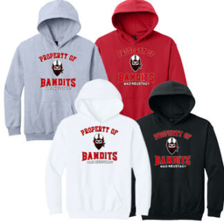Softstyle®Youth Hoodie SF500B PRO