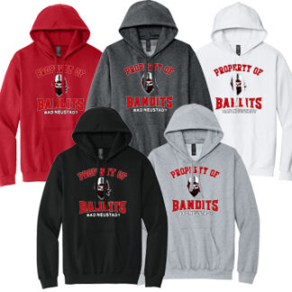 1Softstyle® Midweight Sweat Adult Hoodie SF500 PRO