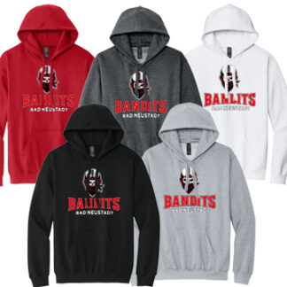 1Softstyle® Midweight Sweat Adult Hoodie SF500 LOGO