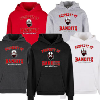 1Hoodie FLUFFY NM 011 PRO